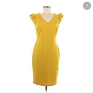 Enfocus Studio dress